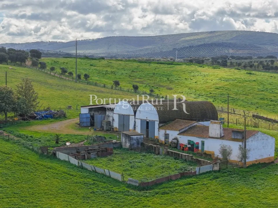 Farm i Sousel, Portalegre - foto 2
