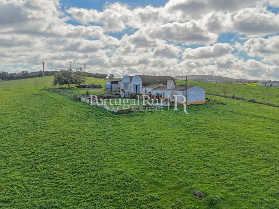 Farm i Sousel, Portalegre - foto 1