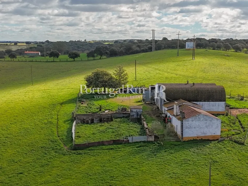 Farm i Sousel, Portalegre - foto 3