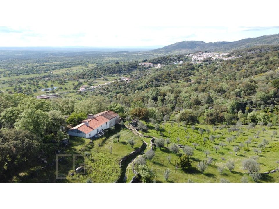 Erhvervsejendom i Ribeira de Nisa e Carreiras, Portalegre - foto 3