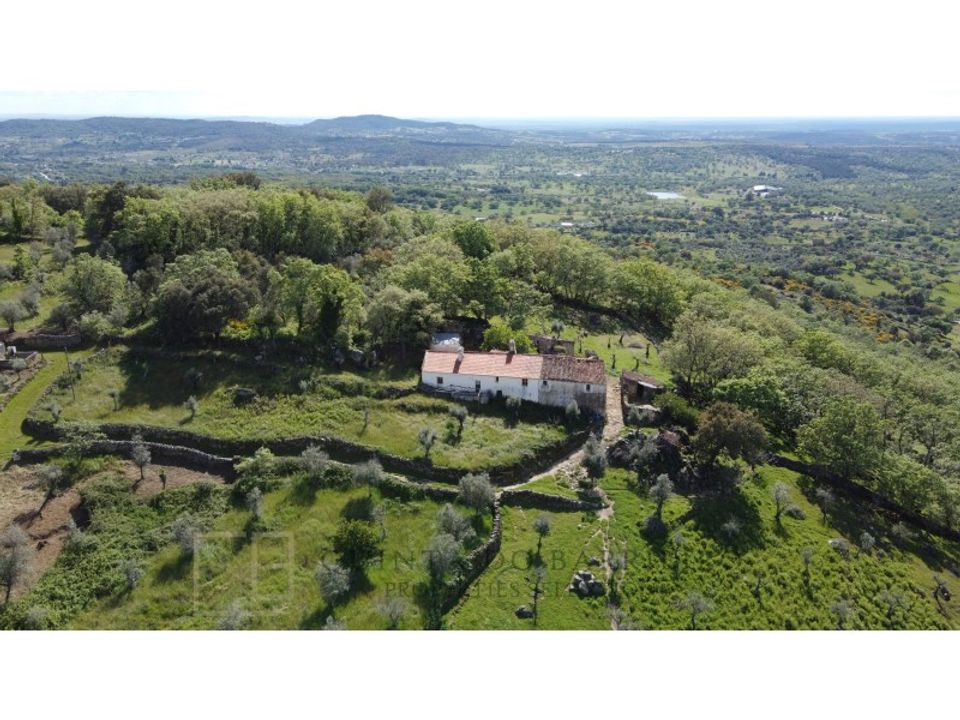 Erhvervsejendom i Ribeira de Nisa e Carreiras, Portalegre - foto 2