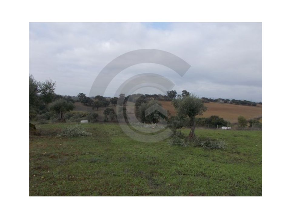 Helårsgrund i Torres Novas, Santarem - foto 2