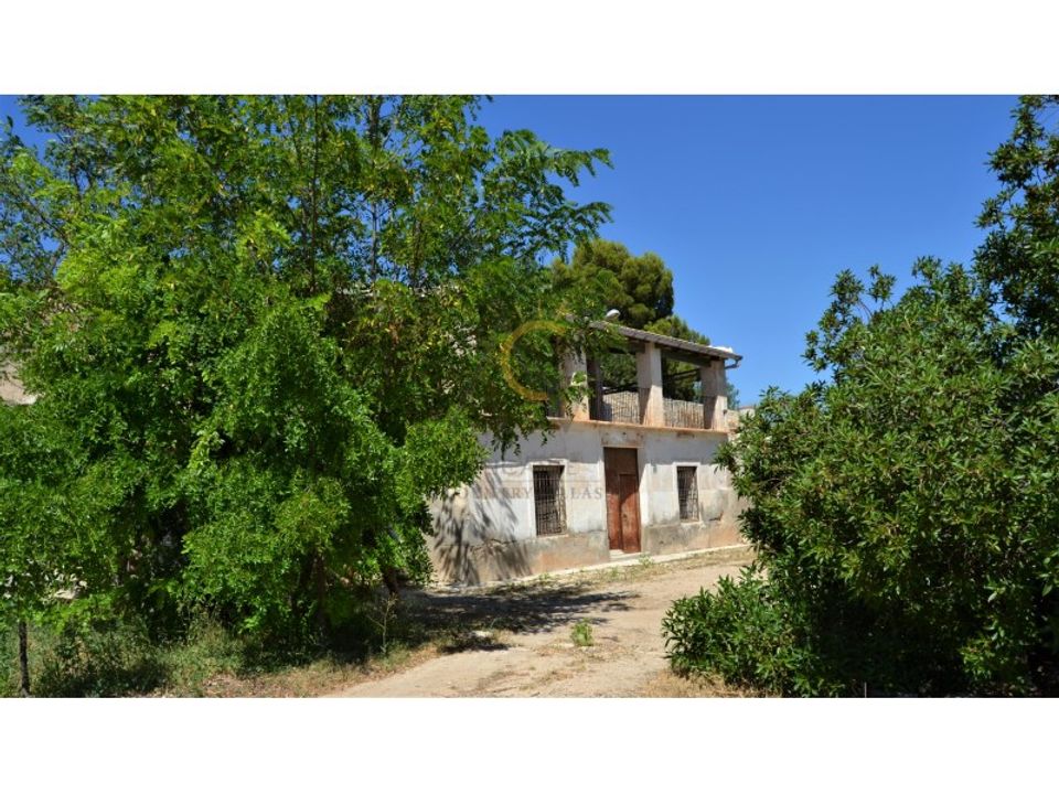 Farm i Monovar, Alicante - foto 1