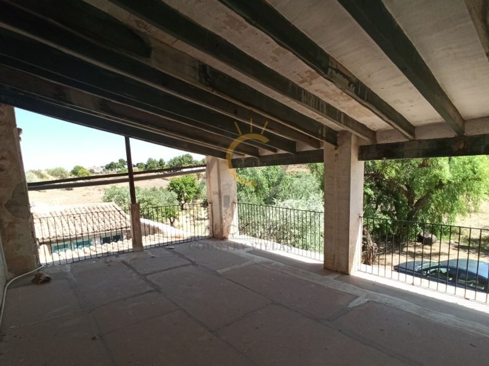 Farm i Monovar, Alicante - foto 5
