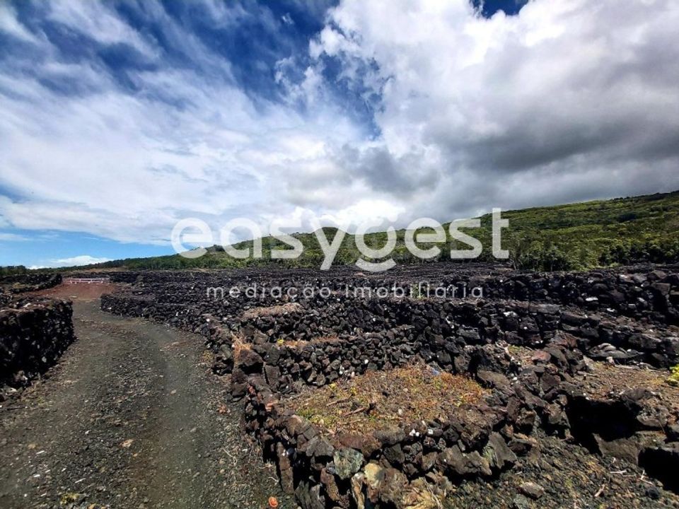 Helårsgrund i Sao Mateus, Graciosa - foto 3