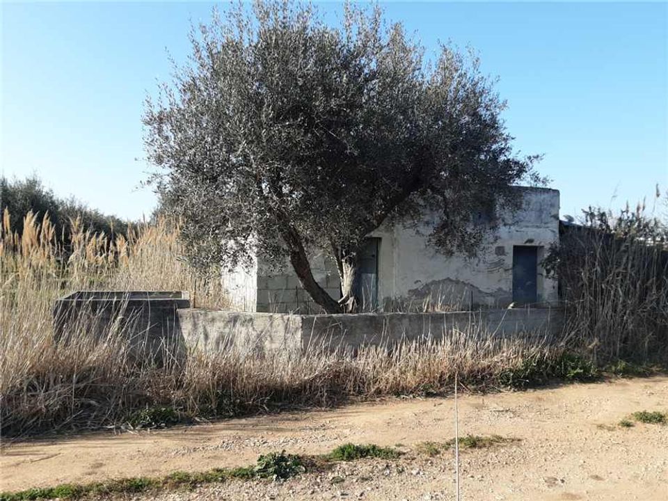 Helårsgrund i San Nicandro Garganico, Foggia - foto 2