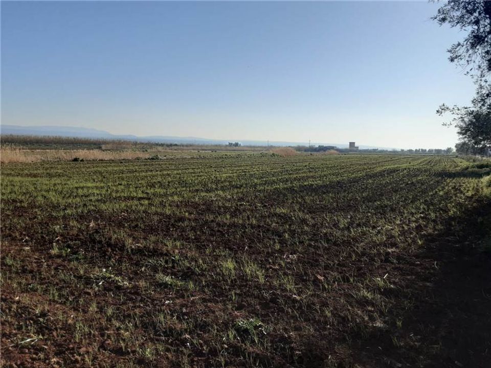 Helårsgrund i San Nicandro Garganico, Foggia - foto 3