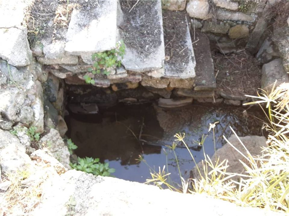 Helårsgrund i San Nicandro Garganico, Foggia - foto 4