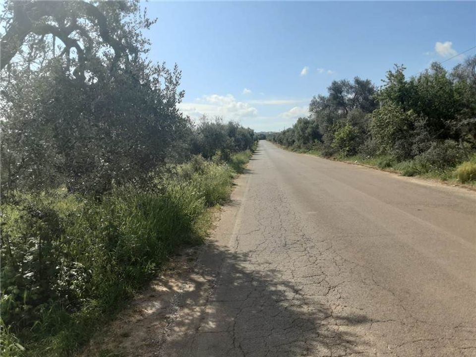 Helårsgrund i San Nicandro Garganico, Foggia - foto 3