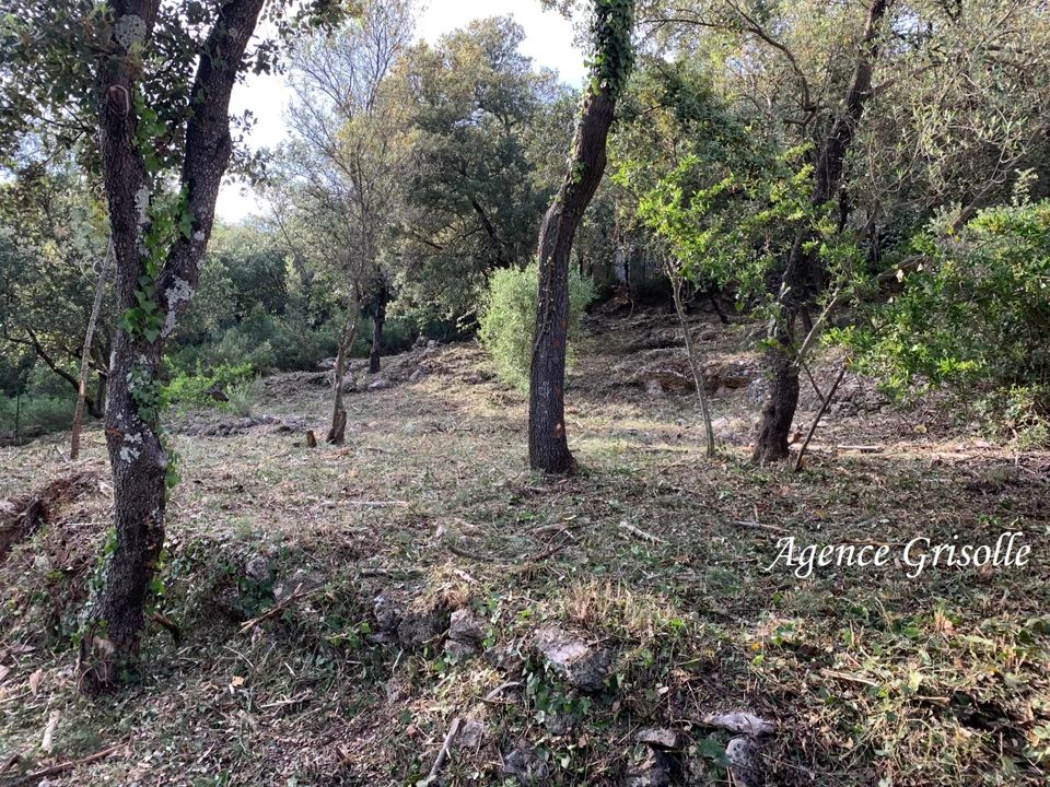Helårsgrund i Sainte-Anastasie-sur-Issole, Var - foto 1
