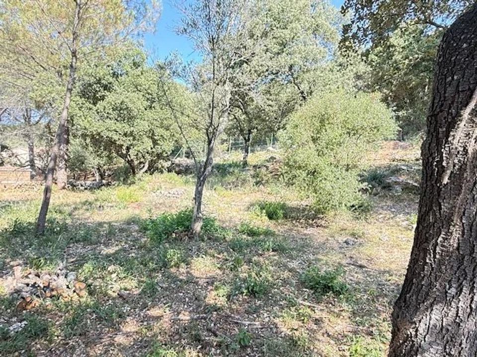 Grond in Sainte-Anastasie-sur-Issole, Var - foto 2