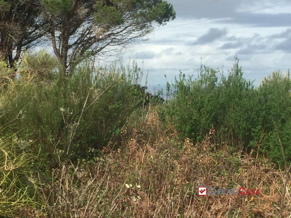 Helårsgrund i Messina, Messina - foto 4