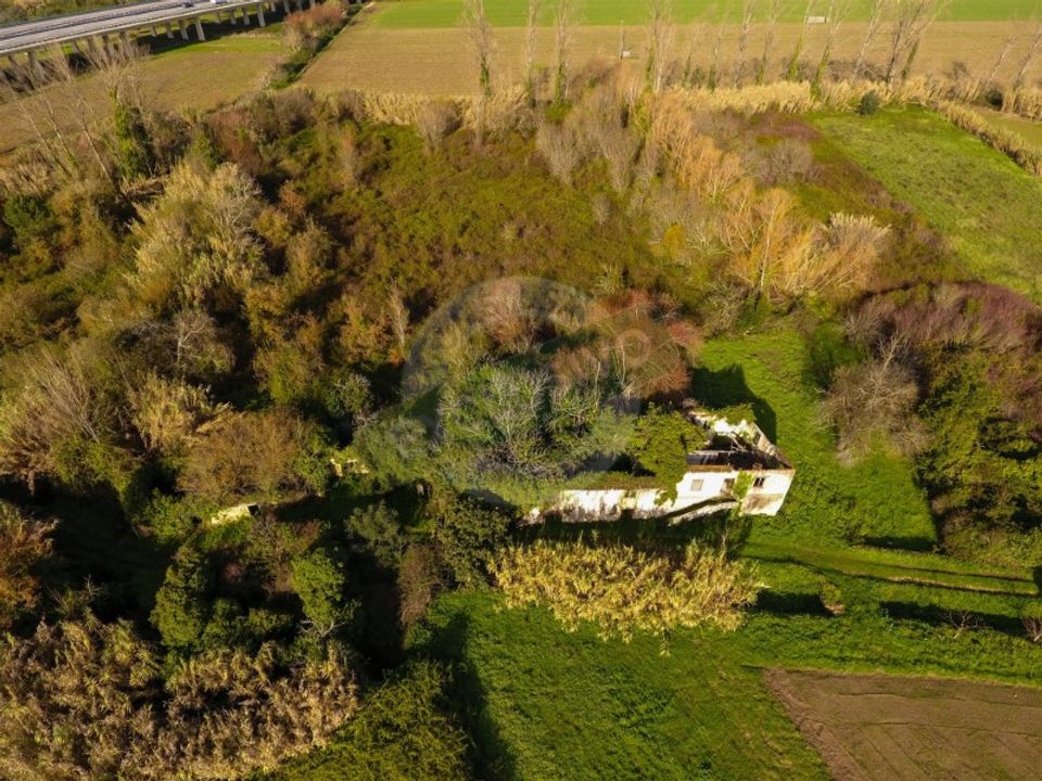 Farm i Coimbra, Coimbra - foto 3