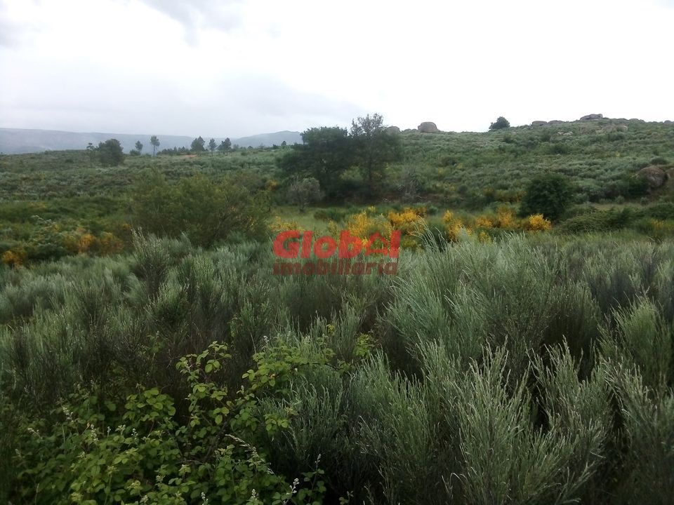 Helårsgrund i Gouveia, Guarda - foto 2