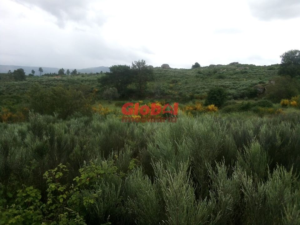 Helårsgrund i Gouveia, Guarda - foto 1