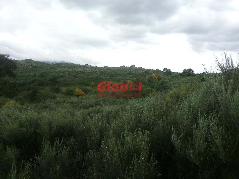 Helårsgrund i Gouveia, Guarda - foto 2