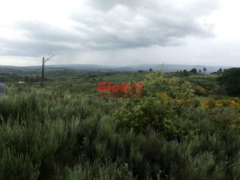 Helårsgrund i Gouveia, Guarda - foto 3