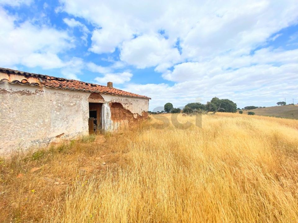 Farm i Mertola, Beja - foto 3