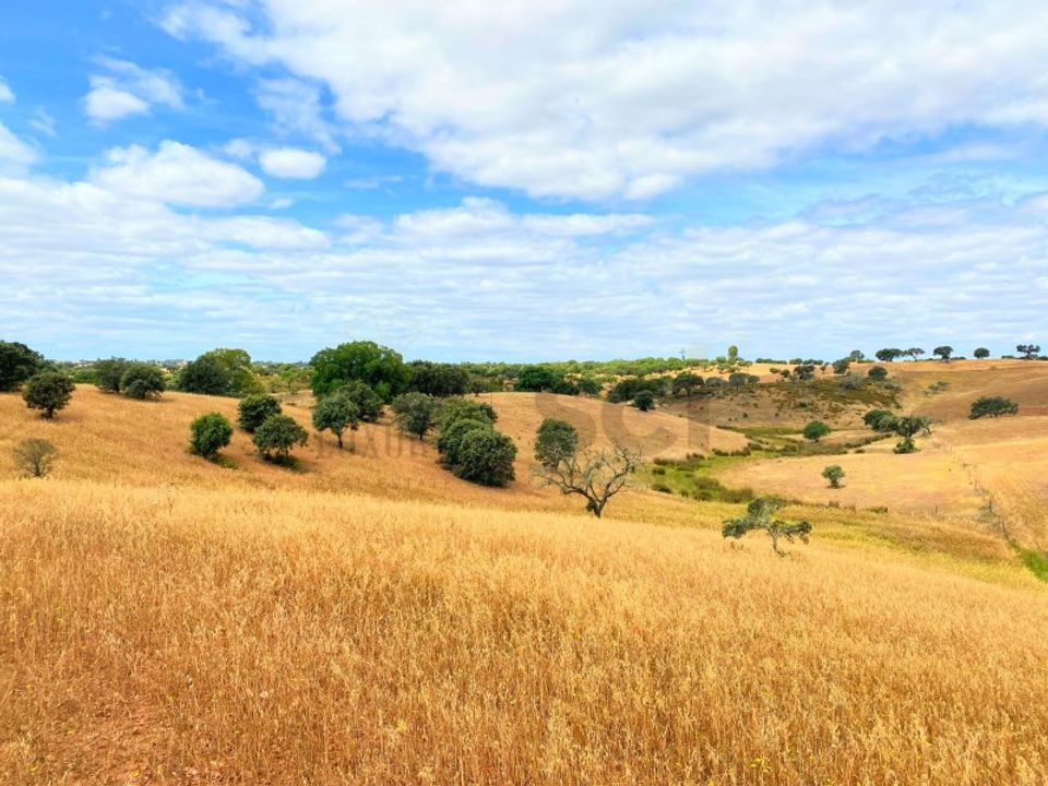Farm i Mertola, Beja - foto 4