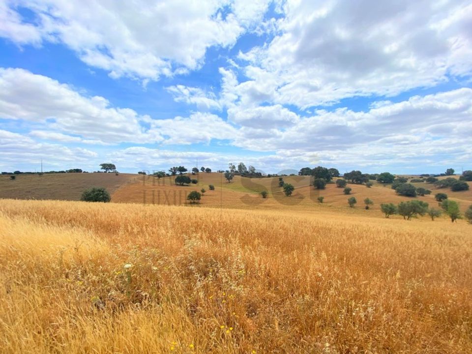 Farm i Mertola, Beja - foto 5
