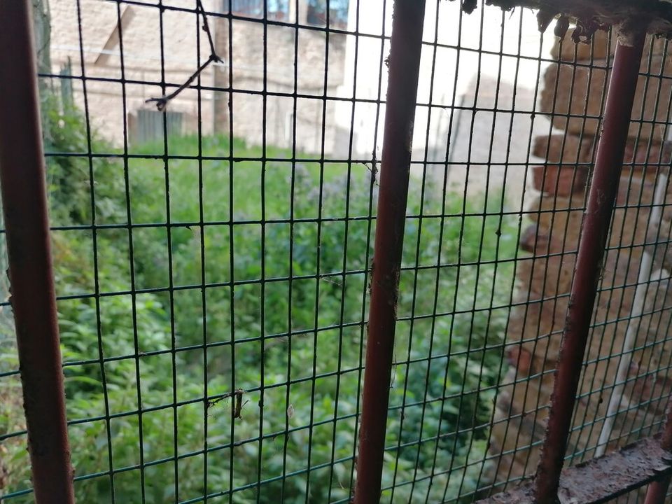 Villa i Civitanova Marche, Macerata - foto 2