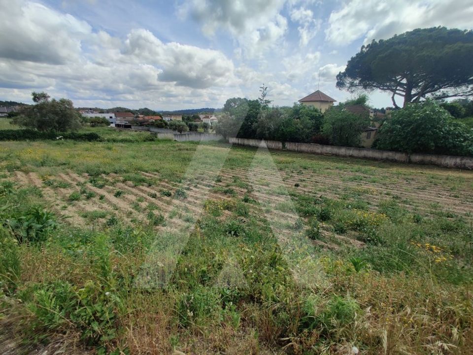 Helårsgrund i Macinhata do Vouga, Aveiro - foto 4