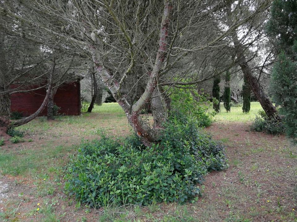 Terra a Badens, Aude - foto 1