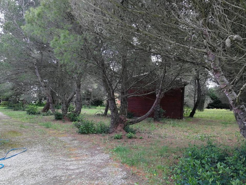 Terra a Badens, Aude - foto 2