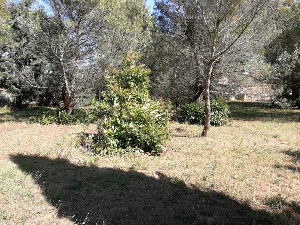 Terra a Badens, Aude - foto 3