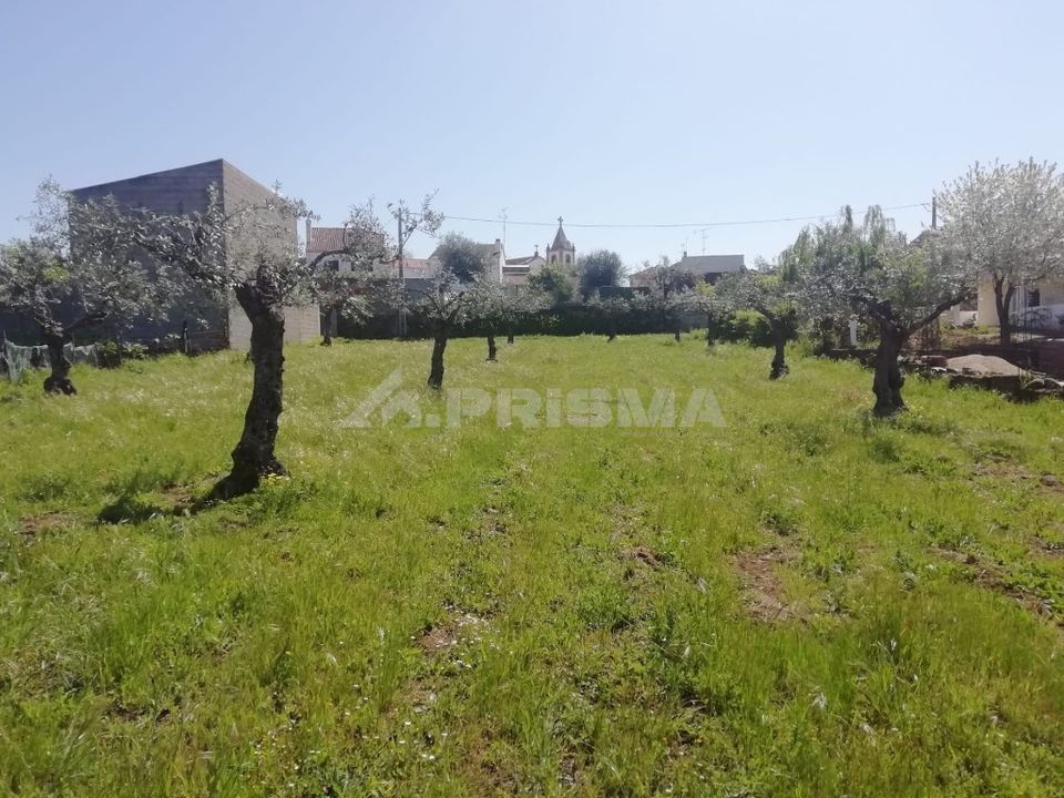 Helårsgrund i Castelo Branco, Castelo Branco - foto 4