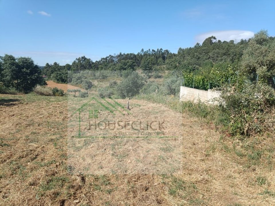 Helårsgrund i Fundao, Castelo Branco - foto 1