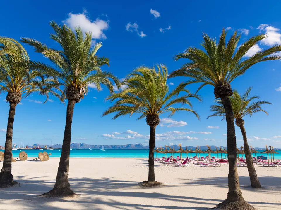 Appartement - Port D'alcudia, Mallorca - photo 2