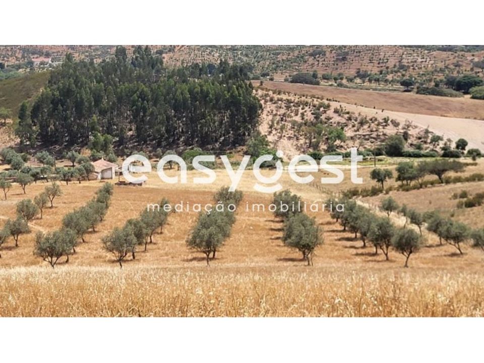 Farm hus i Ourique, Beja - foto 5