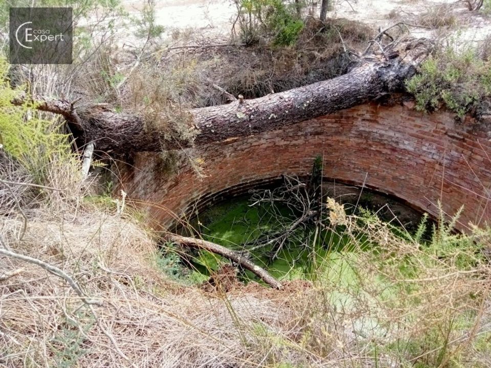 Helårsgrund i Torrao, Setubal - foto 2