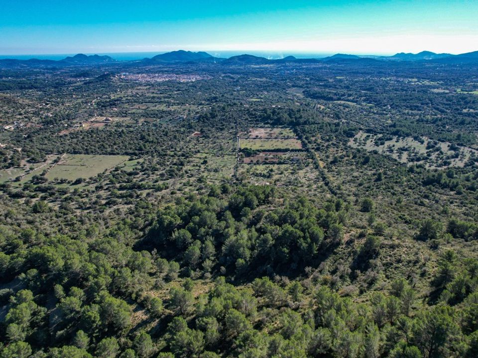 Landejendom i Arta, Mallorca - foto 1
