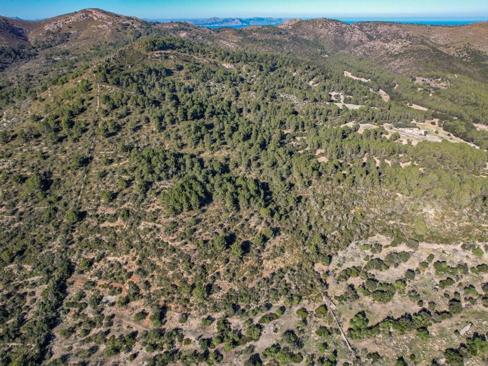 Landejendom i Arta, Mallorca - foto 3