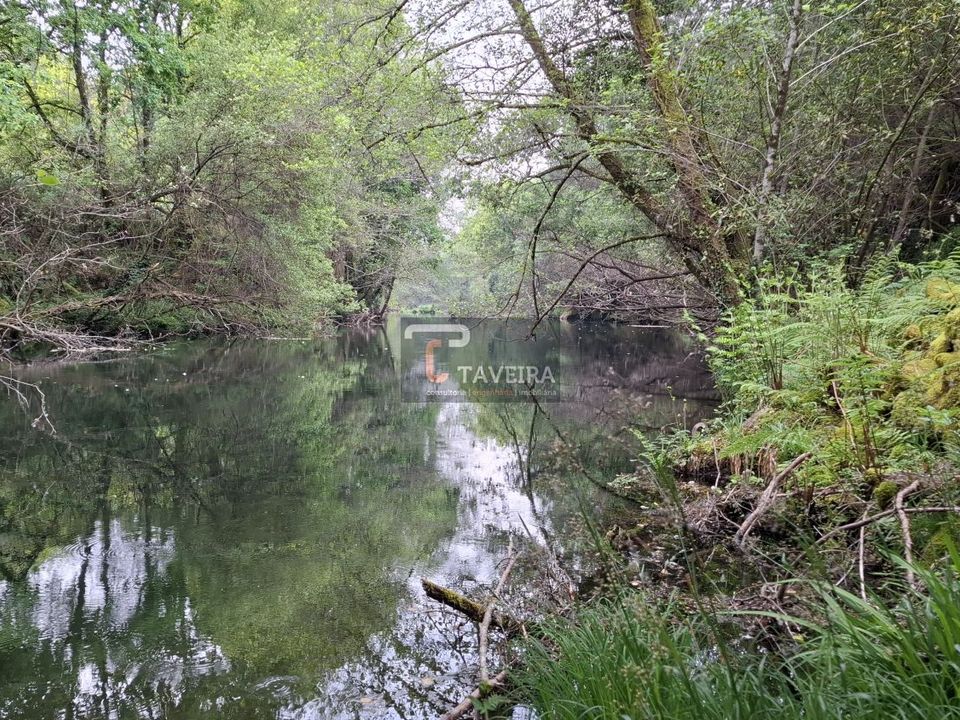 Landejendom i Arcos de Valdevez, Viana do Castelo - foto 4
