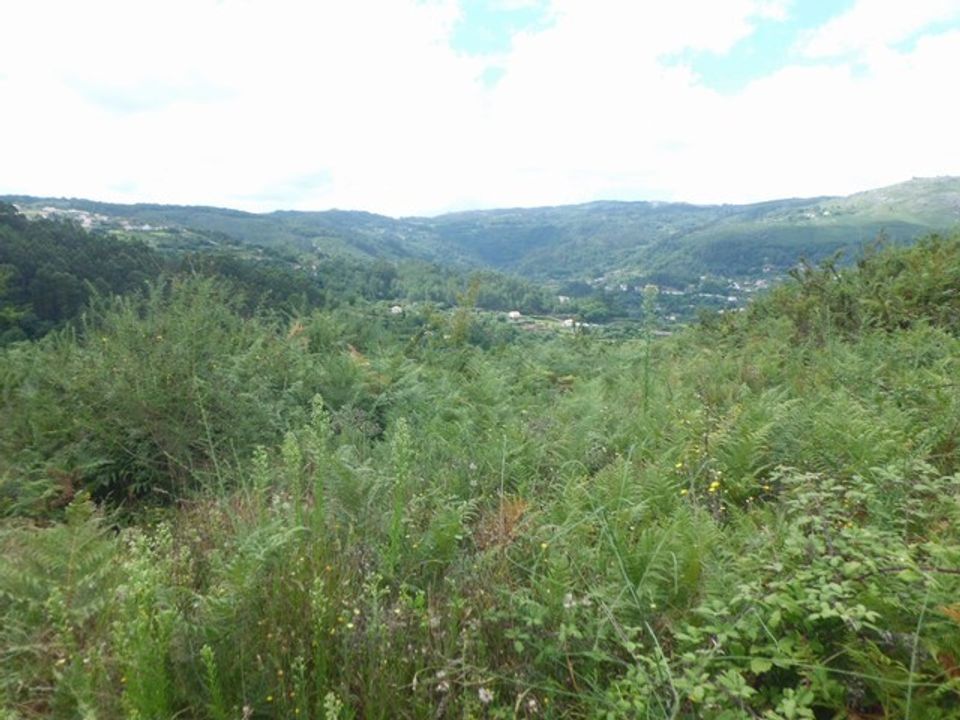 Helårsgrund i Arcos de Valdevez, Viana do Castelo - foto 2