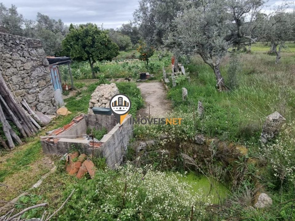 Helårsgrund i Castelo Branco, Castelo Branco - foto 1