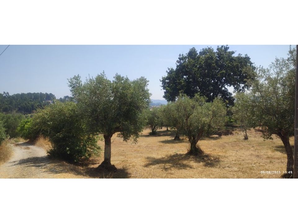 Helårsgrund i Ourem, Santarem - foto 1