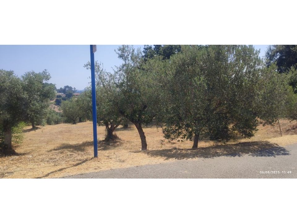 Helårsgrund i Ourem, Santarem - foto 3