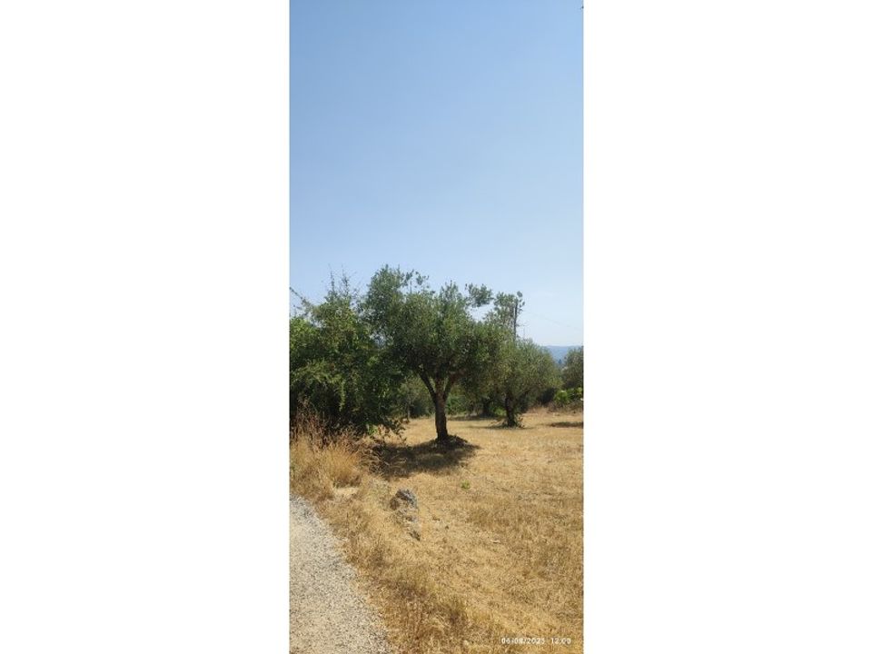 Helårsgrund i Ourem, Santarem - foto 5