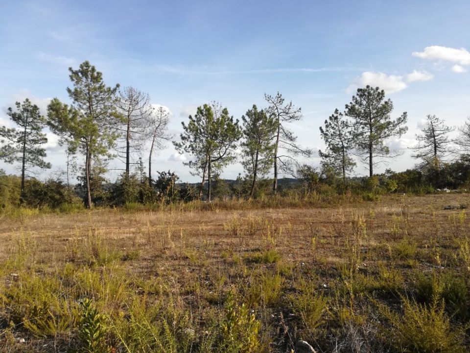 Helårsgrund i Ourem, Santarem - foto 1