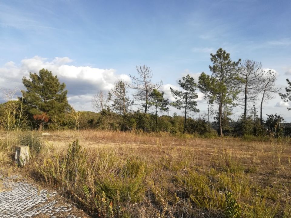 Helårsgrund i Ourem, Santarem - foto 2