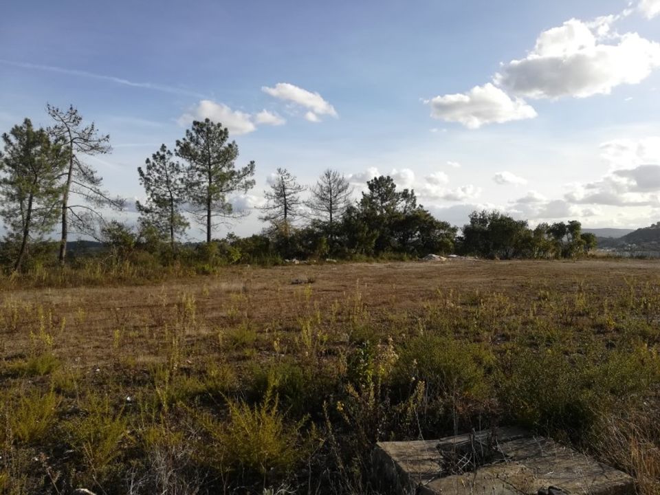 Helårsgrund i Ourem, Santarem - foto 3