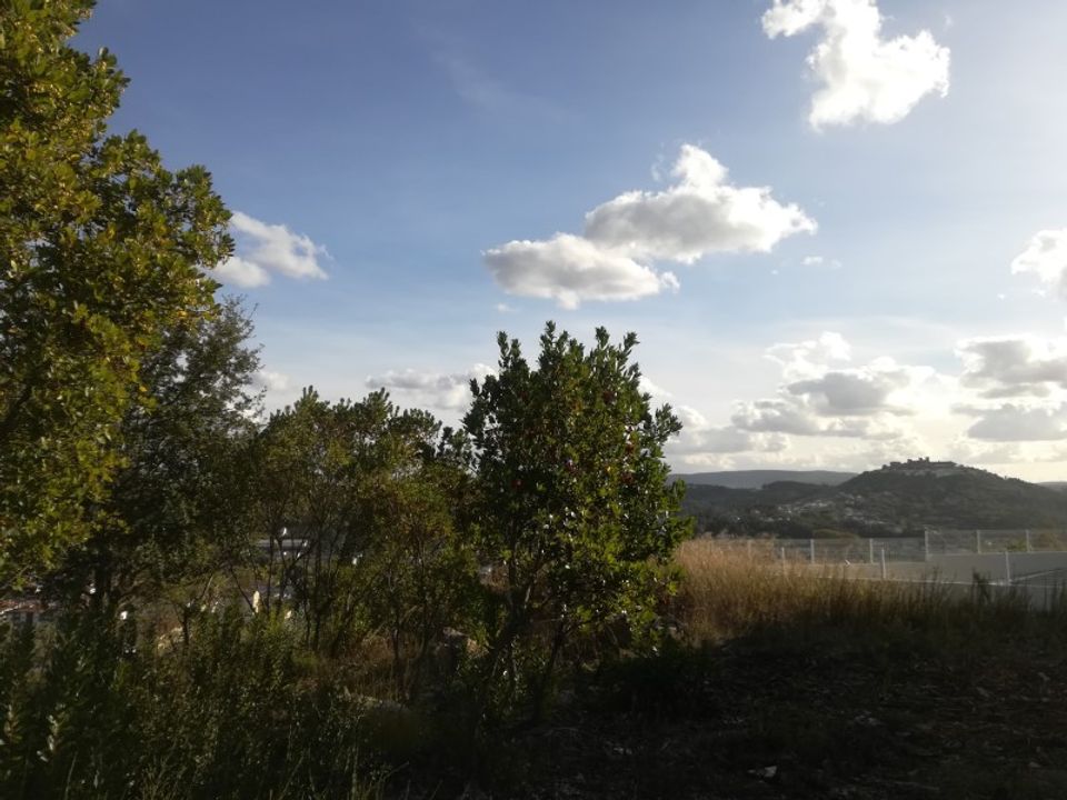 Helårsgrund i Ourem, Santarem - foto 5