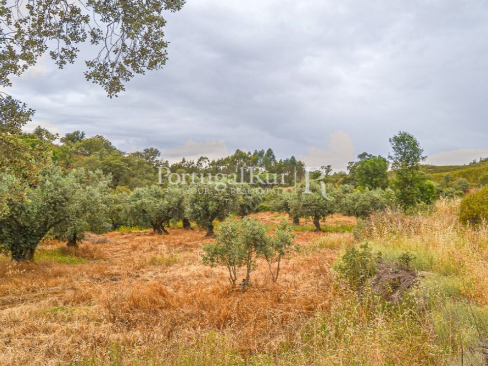Terreno en Fratel, Castelo Branco - foto 1