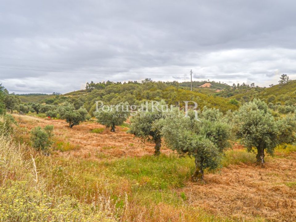 Terreno en Fratel, Castelo Branco - foto 3
