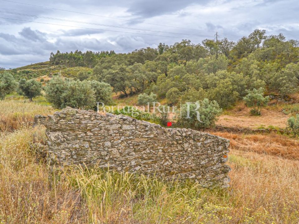 Terreno en Fratel, Castelo Branco - foto 5