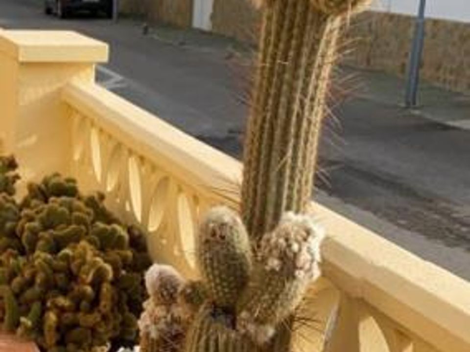 Villa i Vera, Almeria - foto 4
